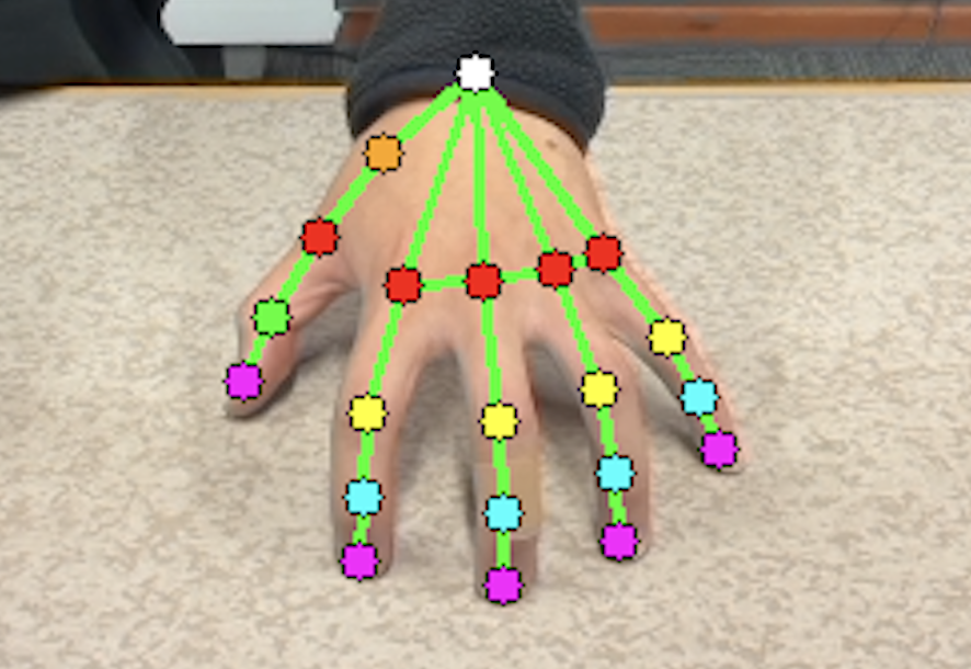 21-point MediaPipe hand landmark skeleton